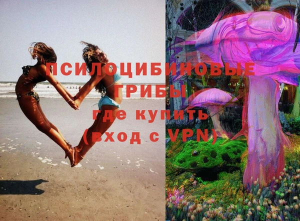ПСИЛОЦИБИНОВЫЕ ГРИБЫ Абаза