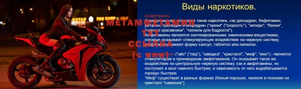 ПСИЛОЦИБИНОВЫЕ ГРИБЫ Абаза