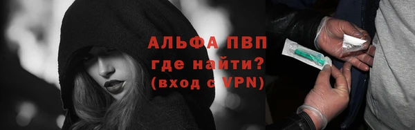 ПСИЛОЦИБИНОВЫЕ ГРИБЫ Абаза