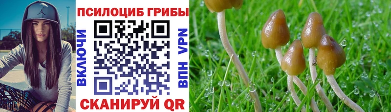 Галлюциногенные грибы Cubensis  наркота  Кудымкар 